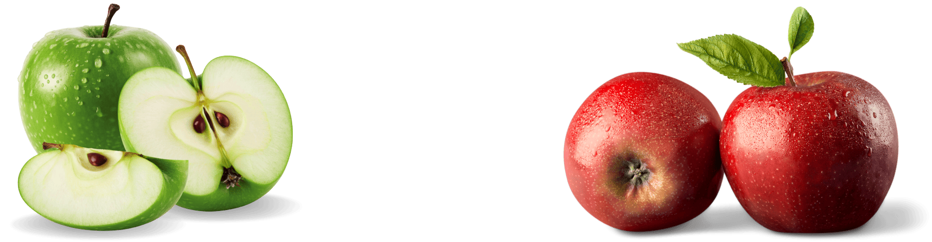 ÇAVSA Elma Üretim, Soğuk Hava ve İhracat