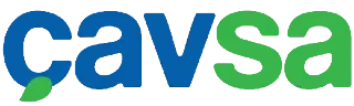 Çavsa