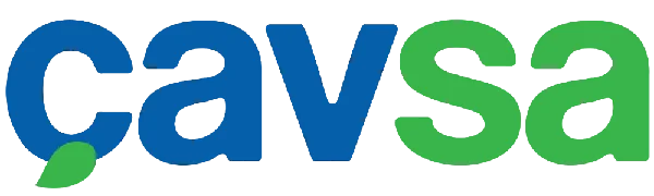 Çavsa